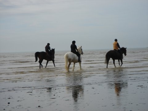 Henry beach 2011 036